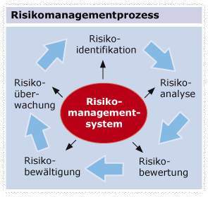 Schaubild Risikomanagementprozess